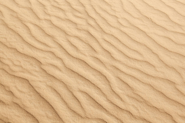 voetafdrukken in het zand in de woestijn in de zomer - Foto, afbeelding