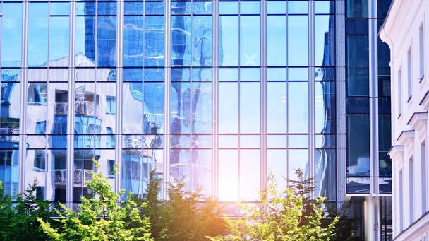 Öko-Architektur. Grüner Baum und gläsernes Bürogebäude. Die Harmonie von Natur und Moderne. Reflexion eines modernen Geschäftshauses auf Glas mit Sonnenlicht.  - Foto, Bild