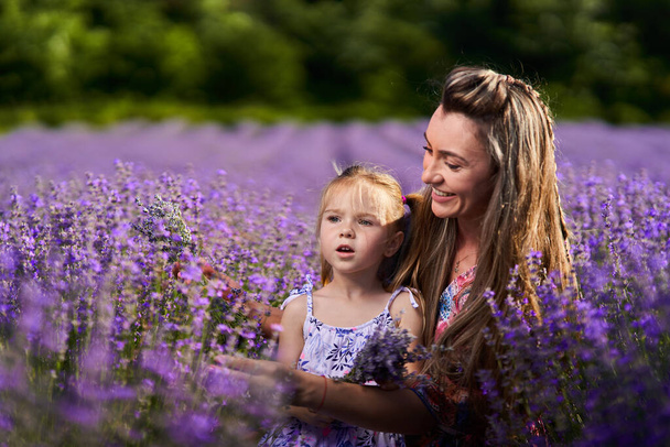 Mother and daughter in a lavender field at sunset, making bouquets - Fotografie, Obrázek