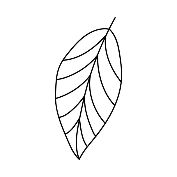 Tree leaf. Doodle vector illustration. - Vektör, Görsel