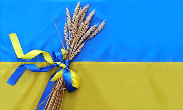 Un ramo de espiguillas doradas maduras de trigo atadas con una cinta amarilla y azul en el fondo de la bandera de Ucrania. Símbolo del país. Día de la independencia de Ucrania, día de la bandera, constitución. Copiar espacio - Foto, Imagen