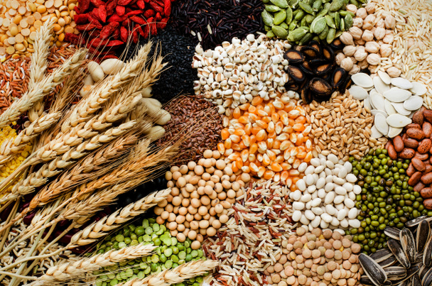 Sorte von trockenem Bio-Getreide und Getreidesamen in dunklem Ton und Bündel von trockenem Weizen, für gesunde oder saubere Lebensmittelzutaten oder landwirtschaftliches Produktkonzept - Foto, Bild