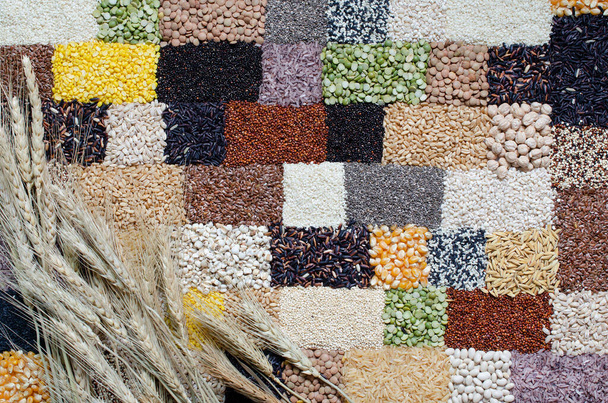 Groep van droge tarwe op verschillende soorten natuurlijke biologische granen en granen zaad achtergrond, voor gezonde of schone voedselingrediënt concept - Foto, afbeelding