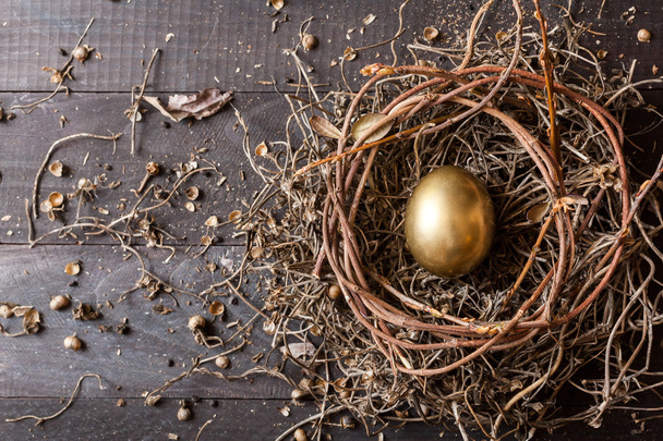 Golden egg in nest - Фото, изображение