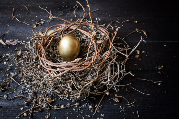 Golden egg in nest - Foto, afbeelding