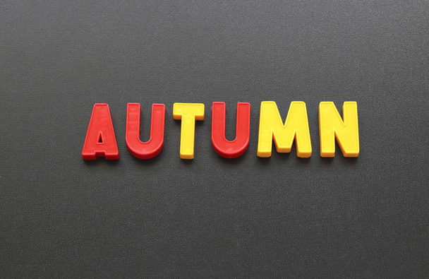 autumn - Foto, Imagen