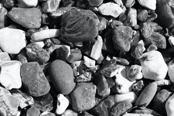 Imágenes monocromáticas de cerca de la playa en Birling Gap, cerca de Brighton, donde los acantilados blancos y calcáreos se elevan sobre las rocas, guijarros, algas y costas.  - Foto, Imagen
