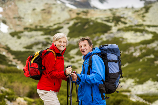Senior couple at mountains - Photo, image