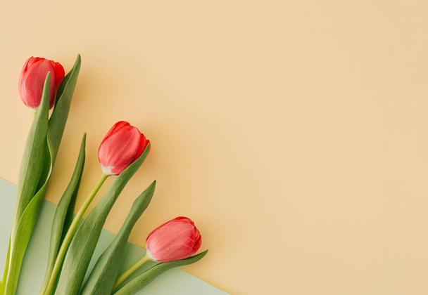 Rode tulpen met groene bladeren gerangschikt op lichtgele achtergrond met kopieerruimte. Bloemenconcept. Minimale vlakke lay. - Foto, afbeelding