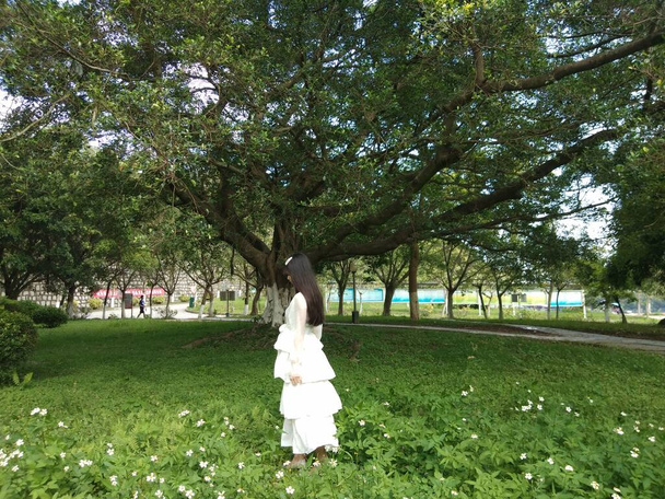 Nuori nainen puistossa - Valokuva, kuva