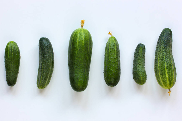 green cucumbers in a row on a light background, from directly above. food, vegetables on the table. flat lay. - Φωτογραφία, εικόνα