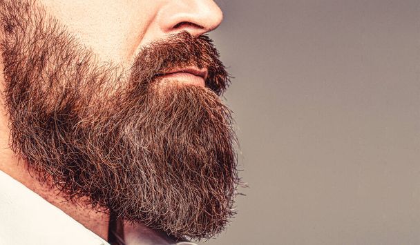 Close up of handsome beard hipster elegant male. Bearded man close up. Beard is his style. Closeup of bearded mans. Male with mustache growing - Foto, Imagem