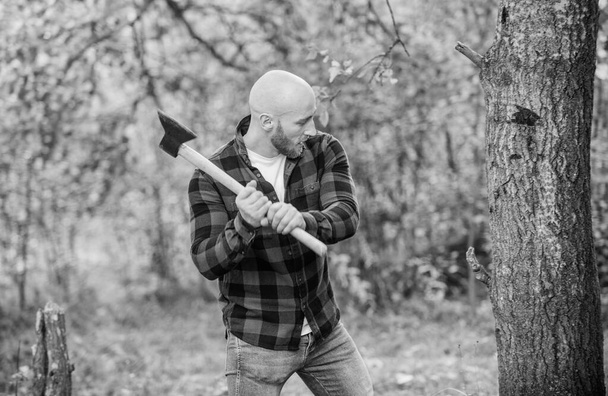 brutal and attractive male in forest. power and strength. lumberjack carry ax. bald woodsman worker. live on rancho. concept of masculinity. bearded hipster cut tree. man checkered shirt use axe - Zdjęcie, obraz