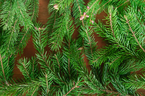 Background of green fir branches for Christmas New Year celebration greeting card design - Photo, Image