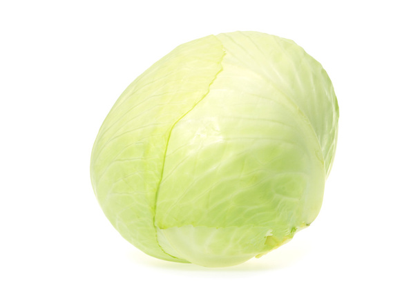 Cabbage - Photo, Image