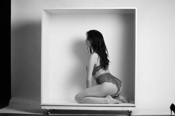 beautiful brunette woman wearing lingerie posing in white cube at studio  - Photo, Image