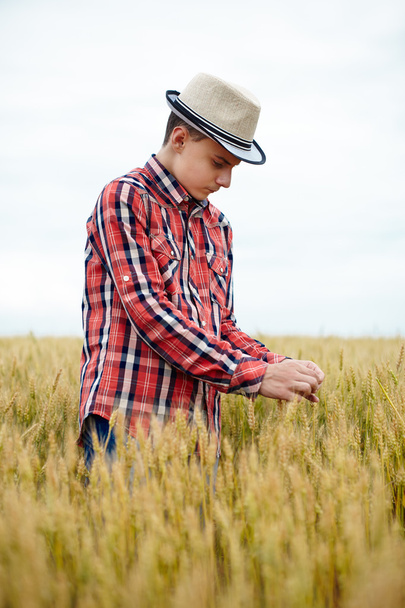 Teenage boy in a wheat field - Foto, Bild