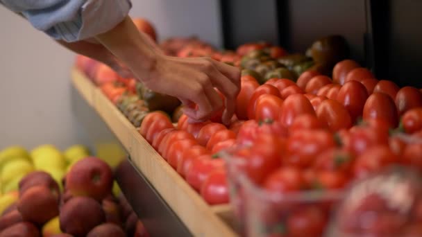 Handen van de vrouwelijke werknemer die tomaten op de plank legt - Video