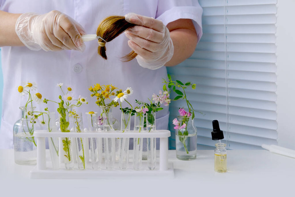 hand of female laboratory assistant, scientist trichologist processes hair sample, curls with plant extracts, concept science, genetic research, trichology, natural medicine for hair - Foto, Imagem
