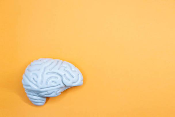 Plastic brain with space for text. Orange background. World Brain Day July 22. Horizontal photography. - Foto, Imagen