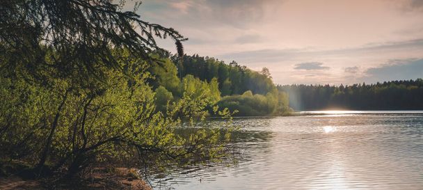 Beautiful summer landscape. Sunset overlooking the lake and forest. banner format - Фото, изображение