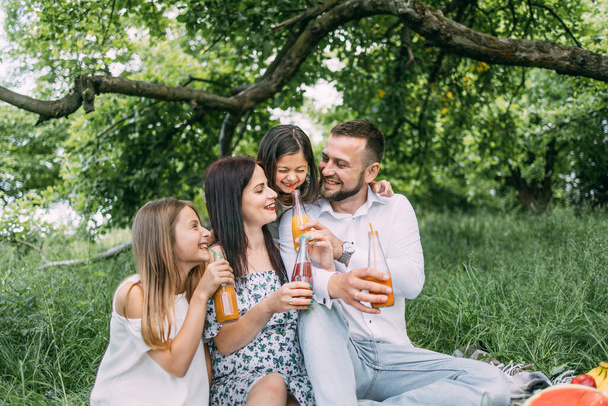 Parents with two daughters drinking juice during picnic time - Foto, afbeelding