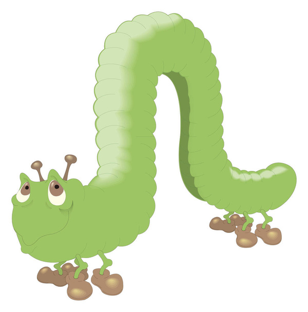 funny green worm caterpillar insect vector illustration transparent background - Vector, Image