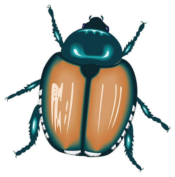 japanse blauwe kever insect vector illustratie transparante achtergrond - Vector, afbeelding