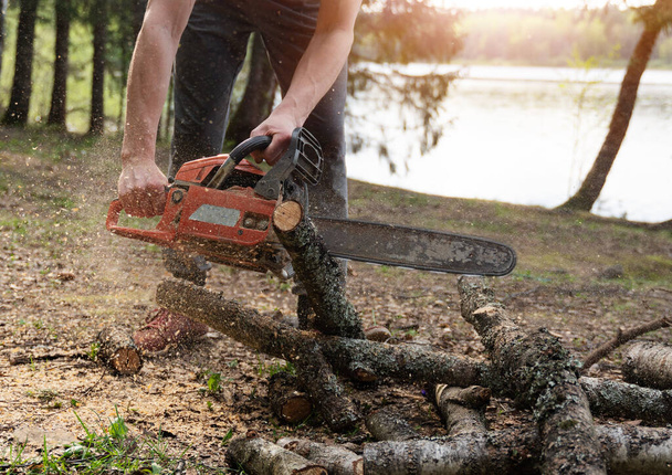A man sawing wooden logs with a chainsaw in the forest with flying shavings, - Foto, Bild