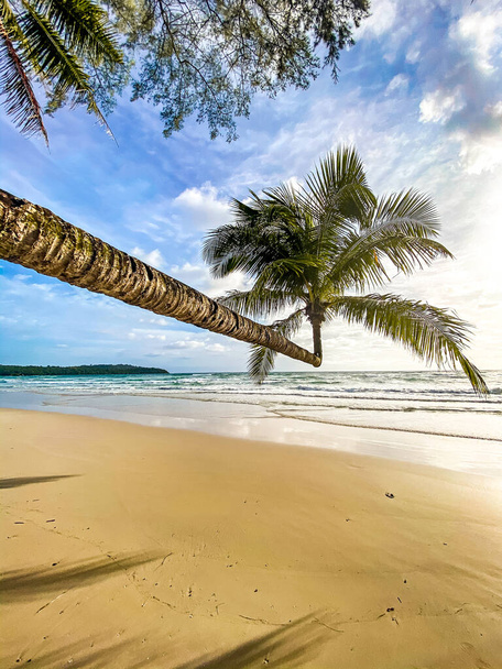 Klong Chao pláž a jeho Double Palm Stromy v koh Kood, Trat, Thajsko - Fotografie, Obrázek