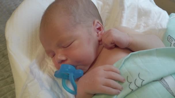 Baby boy lying in baby pod newborn cocoon, infant sleep safety. - Footage, Video