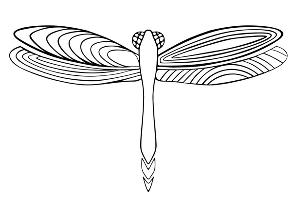 Libro para colorear libélula
 - Vector, imagen