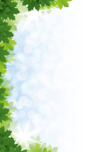 Green maple leaves against the blue sky. Vector. Background. - Vector, Image