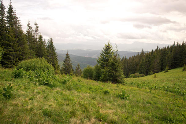 Carpathians mountains - Valokuva, kuva