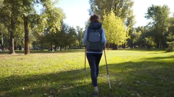 Volwassen vrouw wandelen in het park met nordic walking sticks bij zonnig weer. Senior vrouwelijke workout Scandinavische wandelen in de natuur. Ouderen fit sportvrouw cardiotraining met stokken in handen outdoor - Video