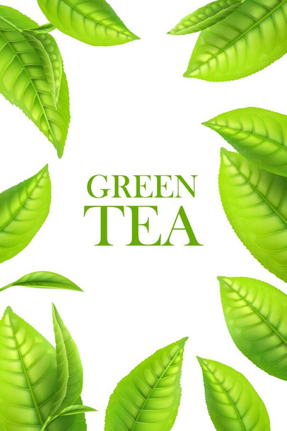 Zöld tealevelek, organikus gyógynövény háttér. Vektor keret ital reklám 3D zöld levelek. Realisztikus plakát design sablon makró levelek határ, friss növény természetes aromaital - Vektor, kép
