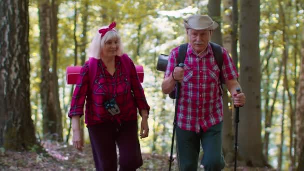 Senior old elderly grandmother grandfather training Nordic walking with ski trekking poles in wood - Footage, Video