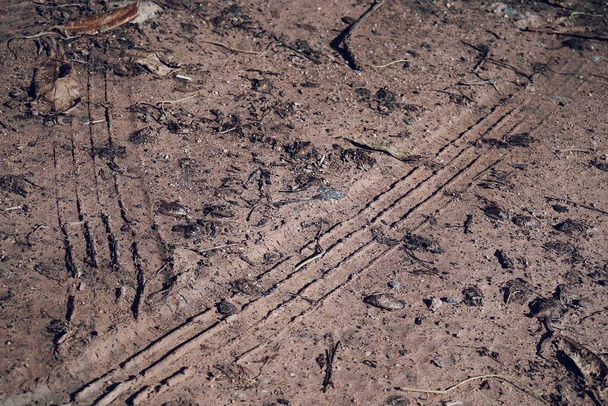 Wielsporen op de achtergrond of textuur van de bodemweg Verwerkt met VSCO met j1 voorinstelling - Foto, afbeelding
