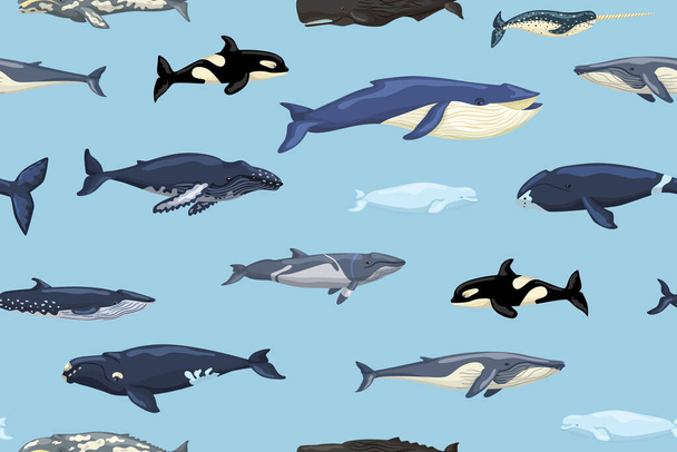 Saumaton kuvio valaita sinisellä pohjalla. Tulosta sarjakuvahahmoja meressä skandinaaviseen tyyliin lapsille. Toistuva rakenne merinisäkkäiden kanssa. Suunnittelu mihin tahansa tarkoitukseen. Vektoriesimerkki. - Vektori, kuva