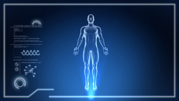 dijital ekranda - animasyon döngüsü dönen insan vücudunda kemik taraması - Video, Çekim