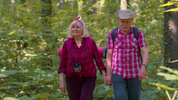 Senior old grandmother grandfather tourists enjoying walking, hiking with backpacks in summer wood - Footage, Video
