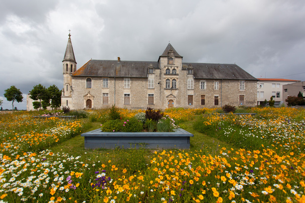 bloemrijke weiland met gebouw - Foto, afbeelding