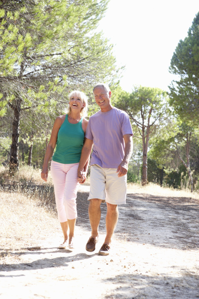 Senior couple, holding hands, walking,walk in park - Foto, afbeelding