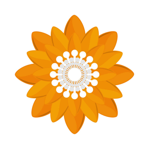 κίτρινη διακόσμηση λουλουδιών - Διάνυσμα, εικόνα