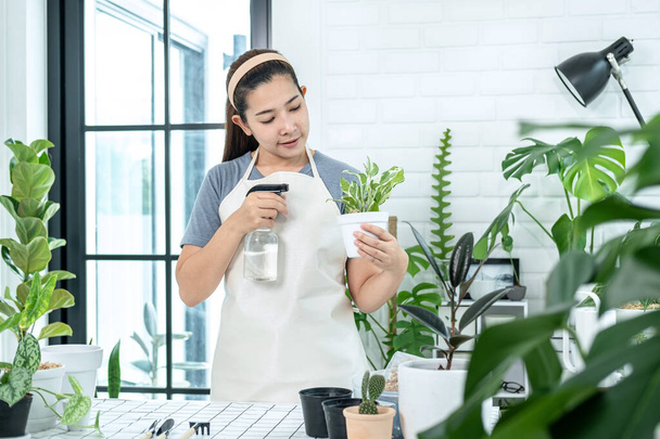 Asian woman gardener is holding a pot with plant and take care of plants by spraying fertilizer water to plants in the room at home while standing to hobby activity, Concept of home garden - Photo, Image