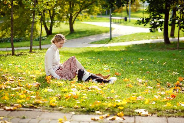 Piękna blondynka bawi się w jesiennym, słonecznym parku ze swoim psem Cavalier King Charles Spaniel. Kobieta i jej zwierzak w naturze. - Zdjęcie, obraz