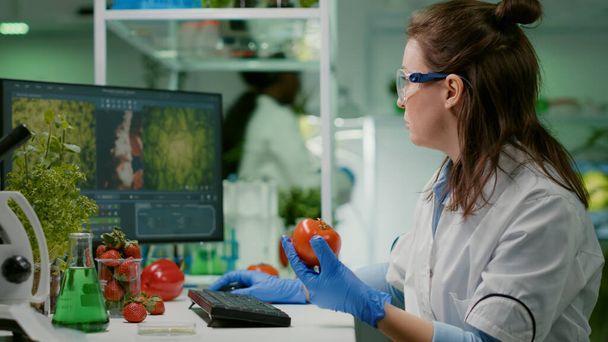 Farmaceutische chemicus onderzoekt tomaat voor microbiologie experiment - Foto, afbeelding