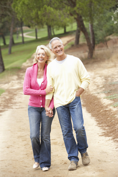 Senior Couple enjoying walk in park - Foto, Imagen