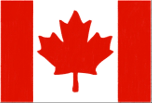 Kanada rysunek pastelami na papier drzewny - Zdjęcie, obraz