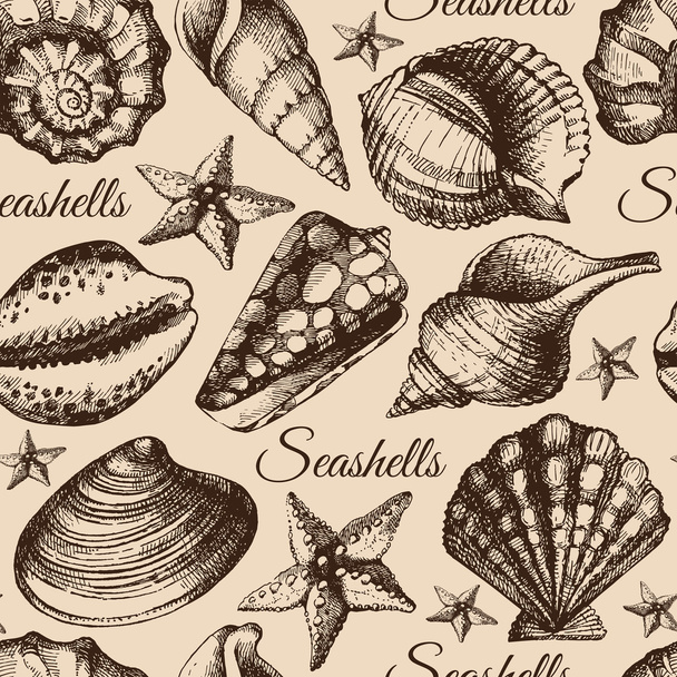 Seashell seamless pattern. - Vector, Image